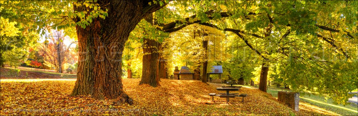 Peter Bellingham Photography Bright - VIC (PBH3 00 34294)